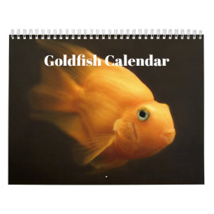 Calendário Goldfish 2025