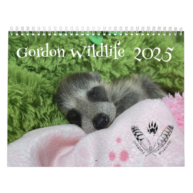 Calendário Gordon Wildlife Raccoon 2025 (Capa)