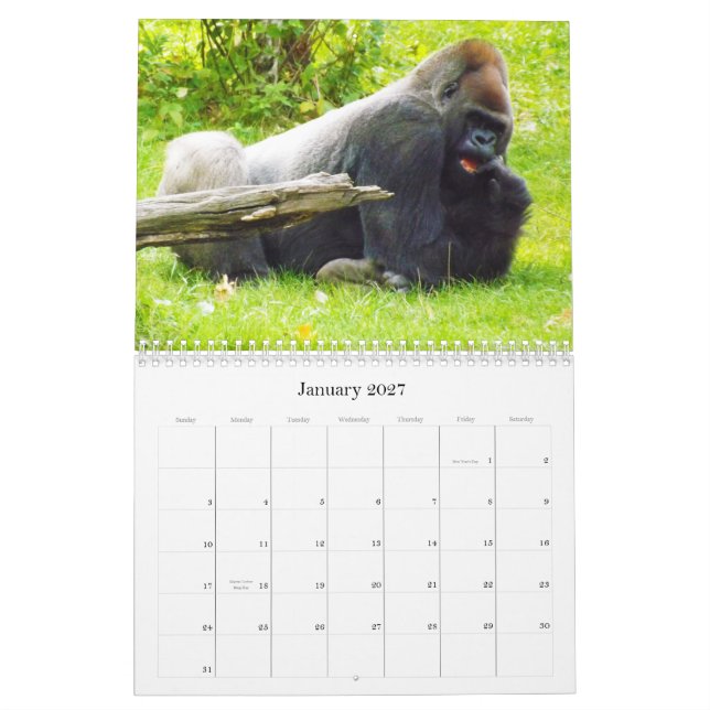 Calendário Gorila da planície do jardim zoológico de Kansas (Jan 2027)