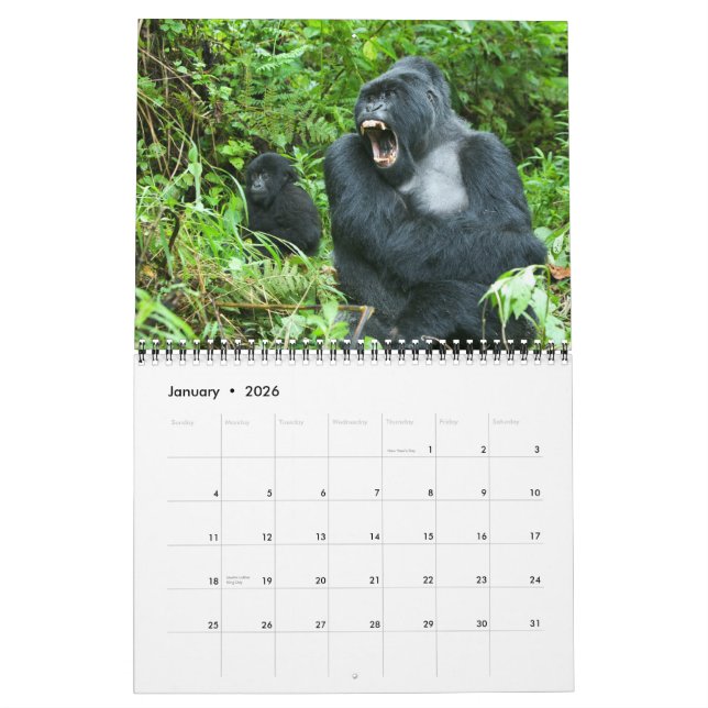 Calendário - gorila de montanha de Rwanda (Jan 2026)