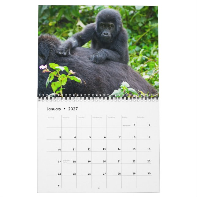 Calendário Gorilas de Montanha de Uganda (Jan 2027)