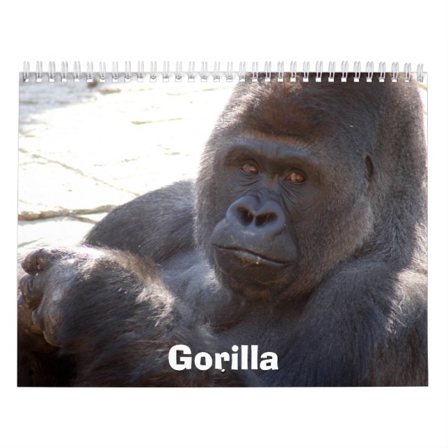 Calendário Gorilla_004, gorila (Capa)