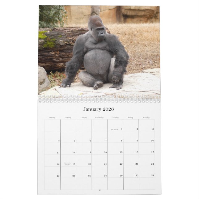 Calendário Gorilla_018, gorila (Jan 2026)