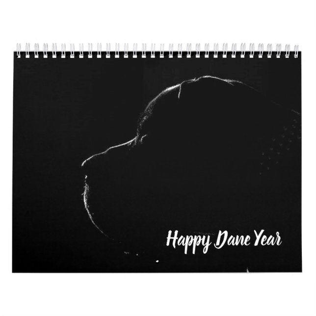 Calendário Gráficos Dane Excelentes (Capa)