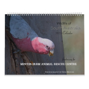 Calendário grande chamador 24