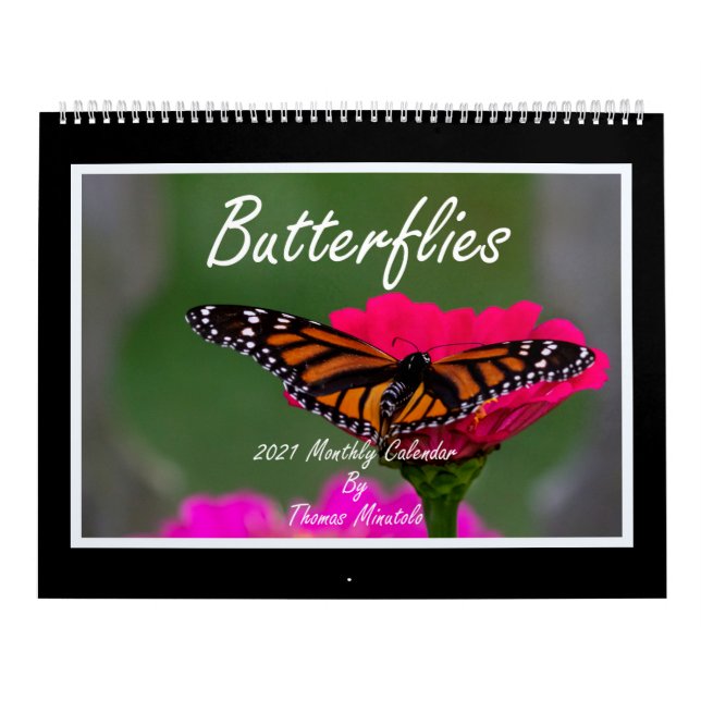 Calendário grande de duas páginas, branco (Capa)