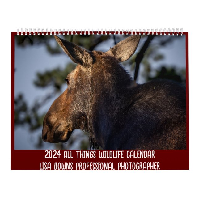 Calendário grande de duas páginas, branco (Capa)
