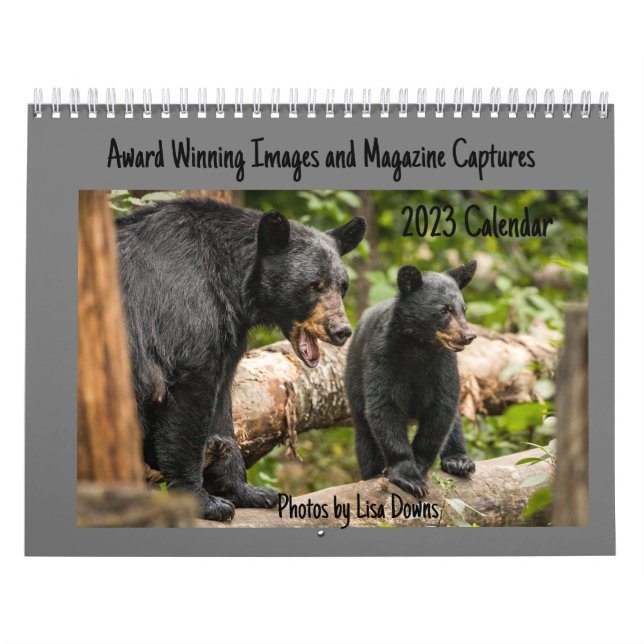 Calendário grande de duas páginas, branco (Capa)