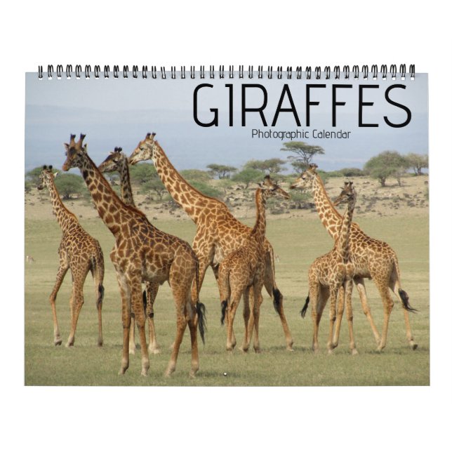 calendário grande giraffe safari 2027 (Capa)