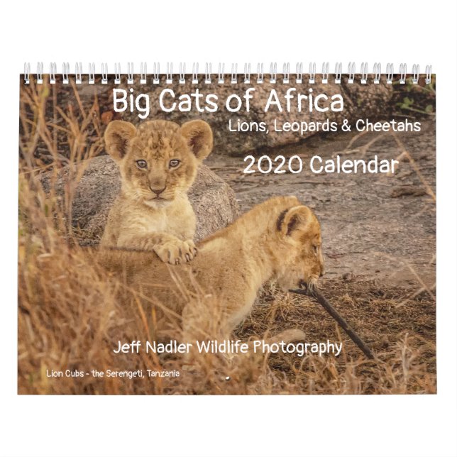 Calendário Grandes gatos da África: Leões, Leopardos 2020 (Capa)