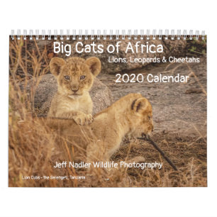 Calendário Grandes gatos da África: Leões, Leopardos 2020