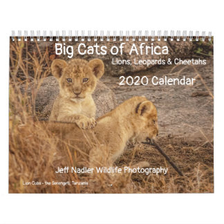 Calendário Grandes gatos da África: Leões, Leopardos 2020