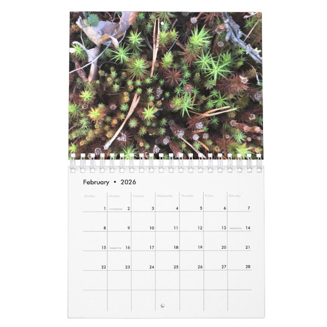 Calendário Graphic photo calendar (Fev 2026)