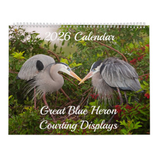 Calendário Great Blue Heron Courting Displays Calendar