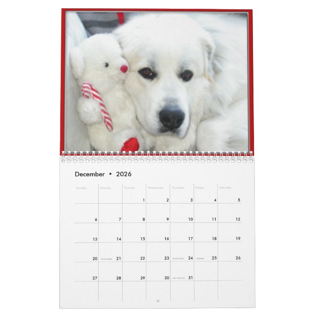 Calendário Great Pyrenees Calendar (Dez 2026)