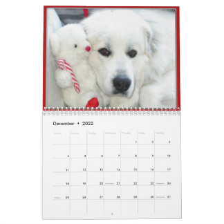 Calendário Great Pyrenees Calendar