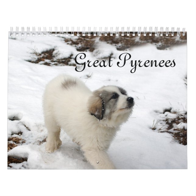 Calendário Great Pyrenees Puppy Calendar (Capa)