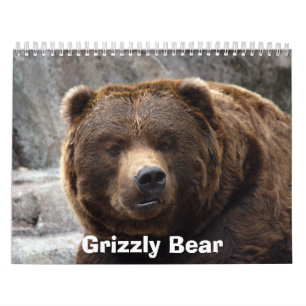 Calendário grizzly-bear-017, urso de urso