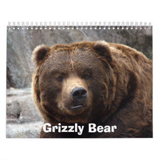 Calendário grizzly-bear-017, urso de urso