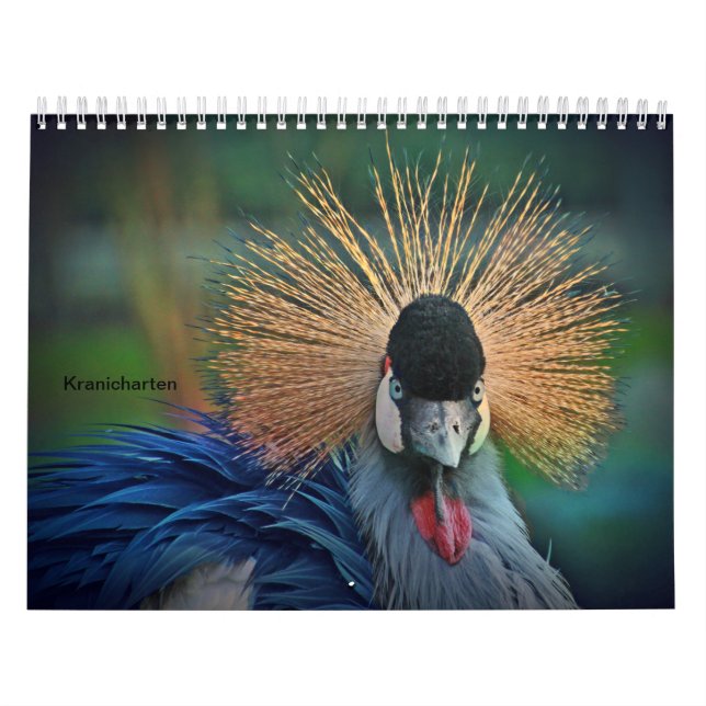 Calendário Grous (Capa)