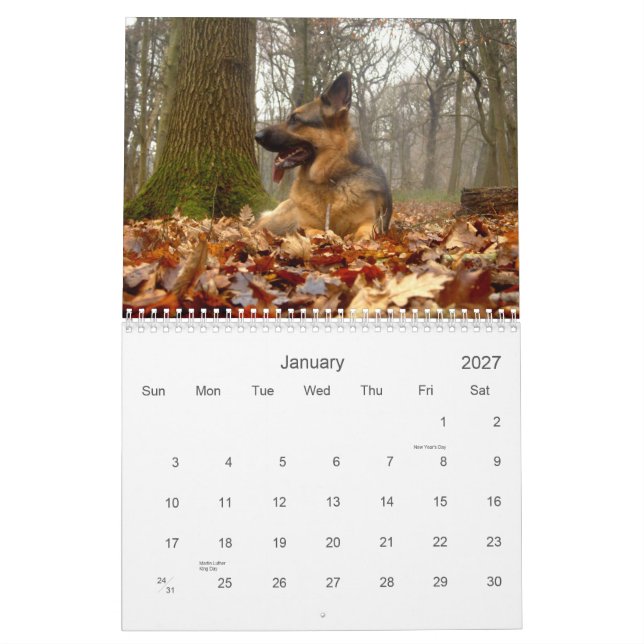 Calendário (GSD) do german shepherd (Jan 2027)
