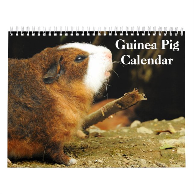 Calendário Guiné Pig 2024 (Capa)