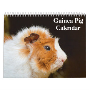 Calendário Guiné Pig 2025
