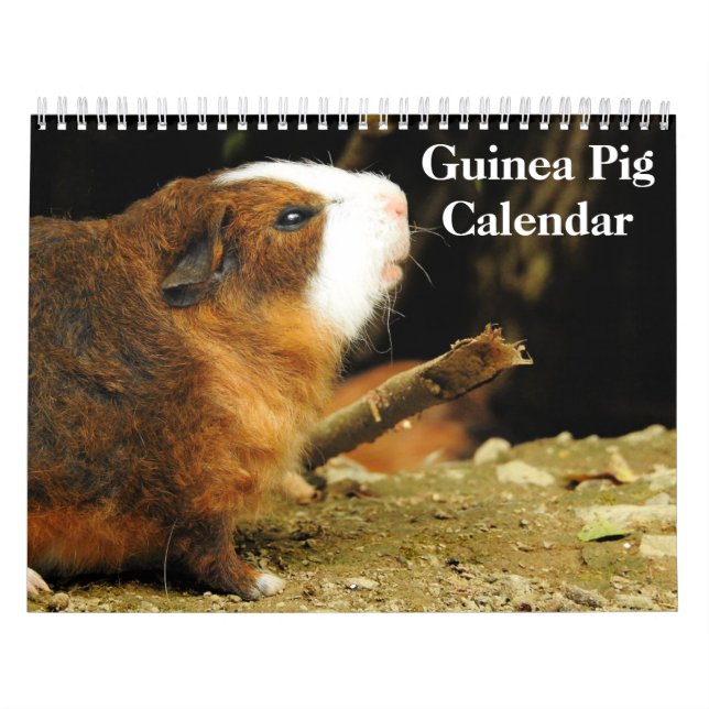Calendário Guiné Pig 2025 (Capa)
