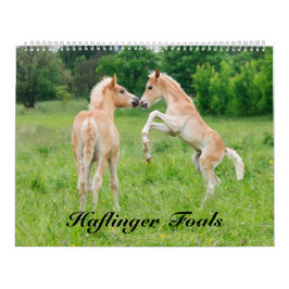 Calendário Haflinger Foals o tamanho 2017 grande