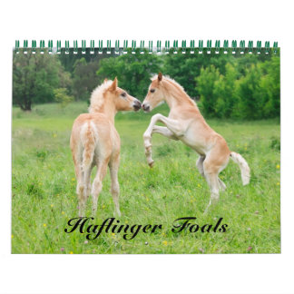 Calendário Haflinger Foals - tamanho médio