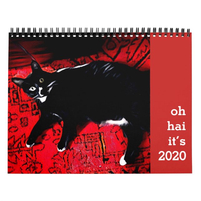 Calendário Hai Cat (Capa)
