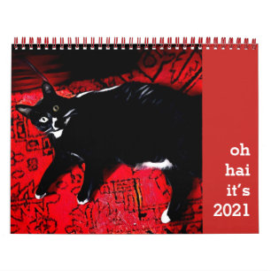 Calendário Hai Cat