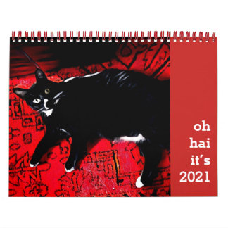 Calendário Hai Cat