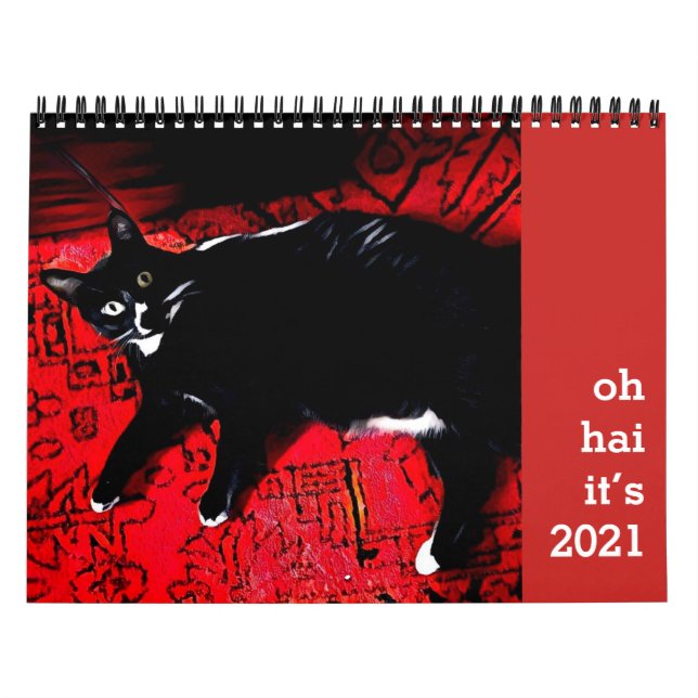 Calendário Hai Cat (Capa)