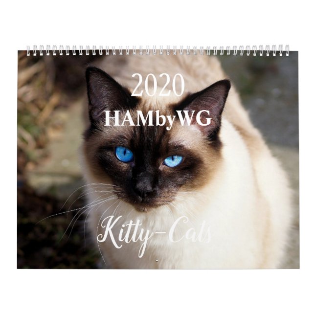Calendário HAMbyWG 2020 - Cats (Capa)