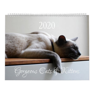 Calendário HAMbyWG - 2020 Gorgeous Cats