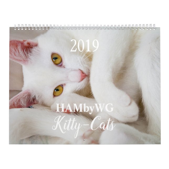 Calendário HAMbyWG Gatinho-Gatos (Capa)