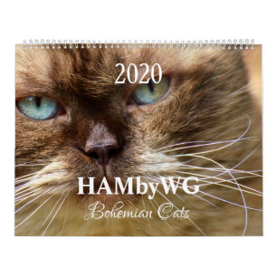 Calendário HAMbyWG - Gatos Boêmianos