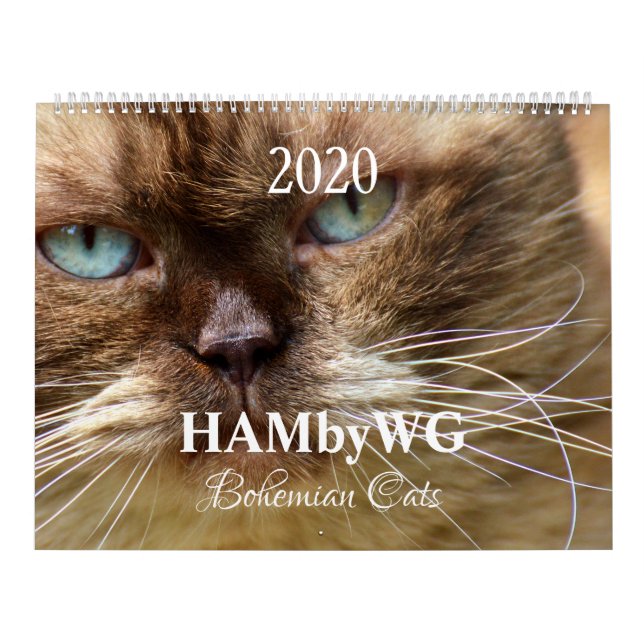 Calendário HAMbyWG - Gatos Boêmianos (Capa)