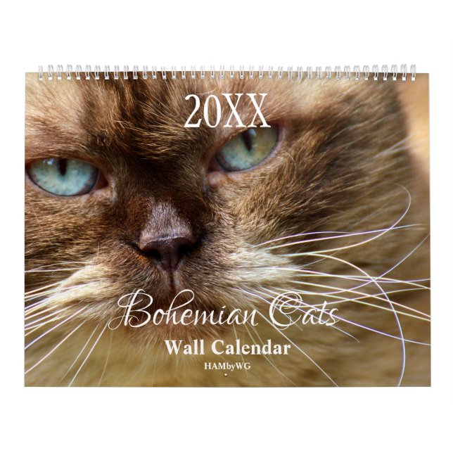 Calendário HAMbyWG - Gatos Boêmios (Capa)