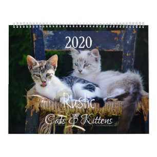 Calendário HAMbyWG - Gatos e Gatinhos Russos