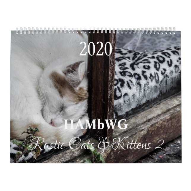 Calendário HAMbyWG - Gatos e Gatinhos Russos 2 (Capa)