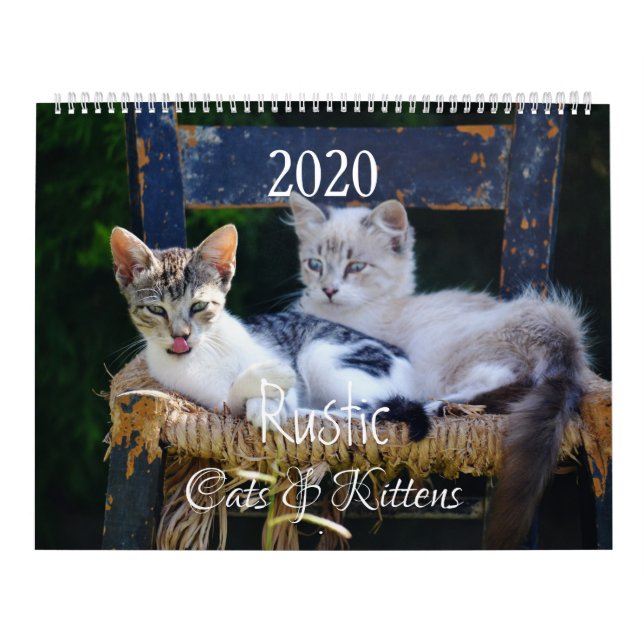 Calendário HAMbyWG- Gatos & Gatinhos Rústicos (Capa)