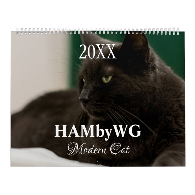 Calendário HAMbyWG Gatos Modernos (Capa)