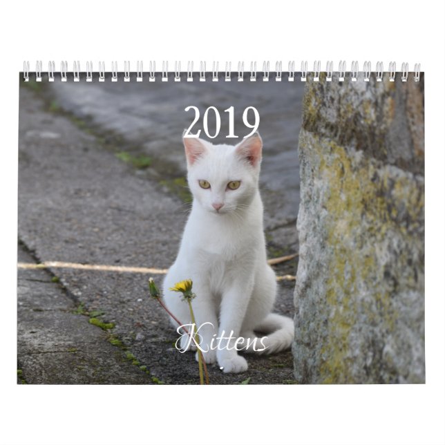 Calendário HAMbyWG Kitten (Capa)
