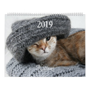 Calendário HAMbyWG Kitten