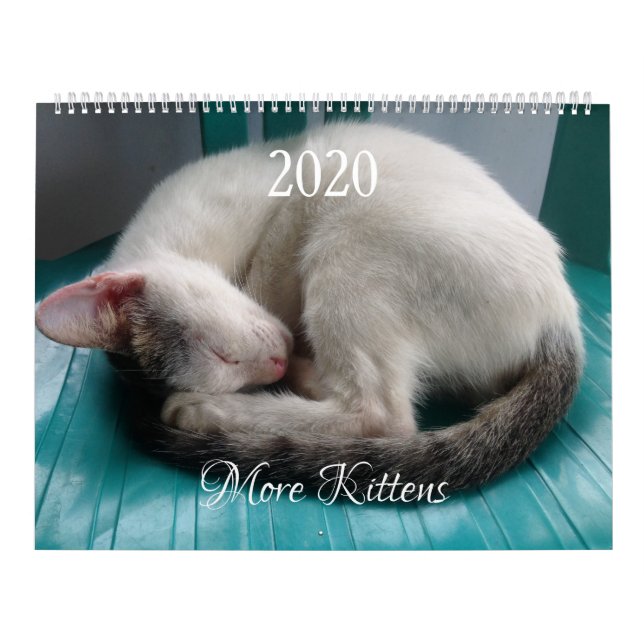 Calendário HAMbyWG - Mais Gatinhos (Capa)