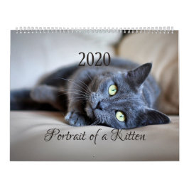 Calendário HAMbyWG- Retrato de um Gatinho