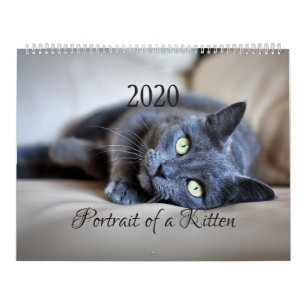 Calendário HAMbyWG- Retrato de um Gatinho