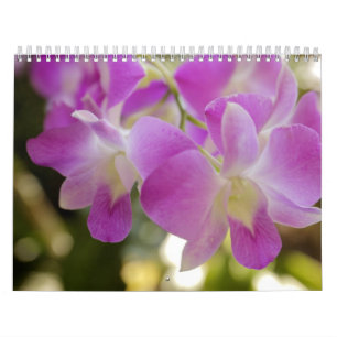 Calendário havaiano da flor & da orquídea